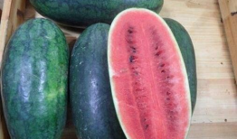 海南吃瓜爆料事件真相,揭秘背后真相与争议