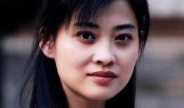 梅婷主演的电视剧,情感纠葛与命运抉择